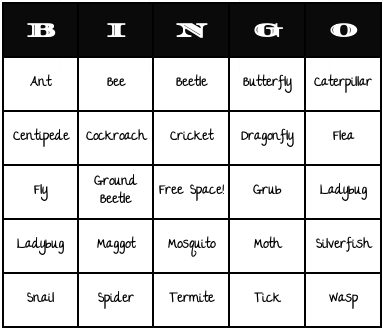 insects bingo cards