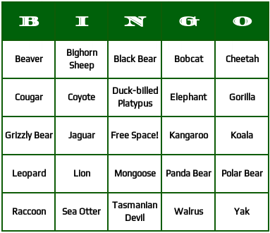 mammals bingo cards