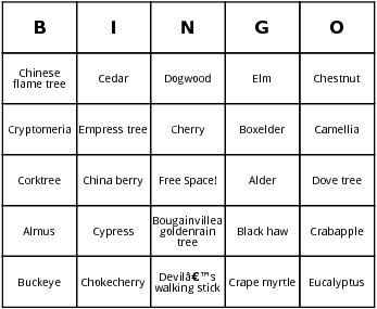 trees bingo cards